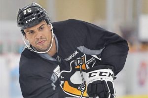 Ryan Reaves, Canadian Ice hockey player