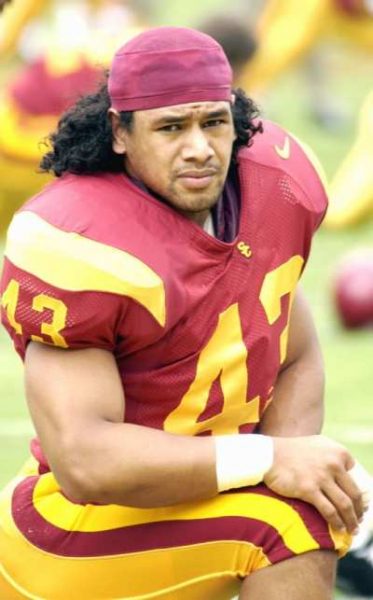 Troy Polamalu
