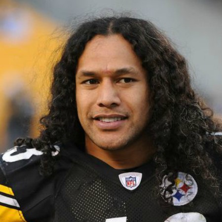Troy Polamalu Wiki, Age, Net Worth 2022, Salary, Wife, Kids, Height, Hair Troy Polamalu Wiki, Age, Net Worth 2022, Salary, Wife, Kids, Height, Hair