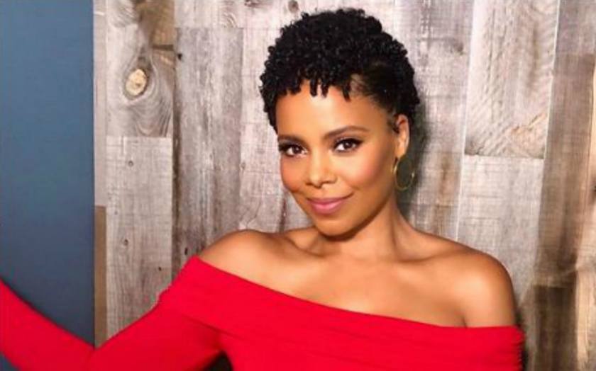 What is the Net Worth of Sanaa Lathan in 2019? Biogossip