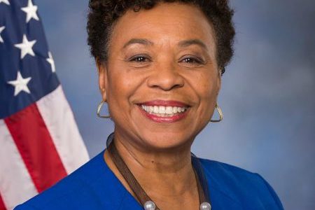 Barbara Jean Lee, Politician