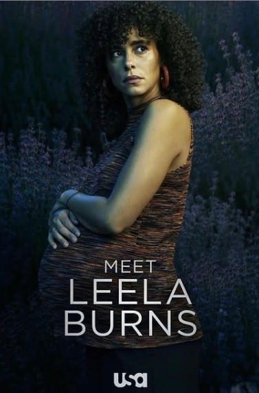 Araya Crosskill's wife Parisa featured in the poster of the series