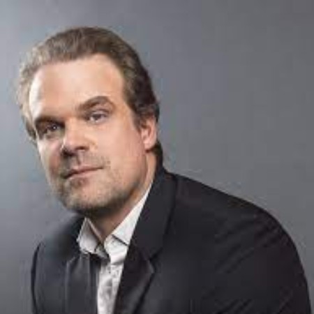 Who is David Harbour Wife? Net Worth in 2022, Age, Bio, Height, Career