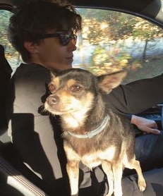Deaken Bluman posing inside his car