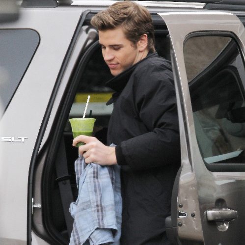 Liam Hemsworth posing infront of car